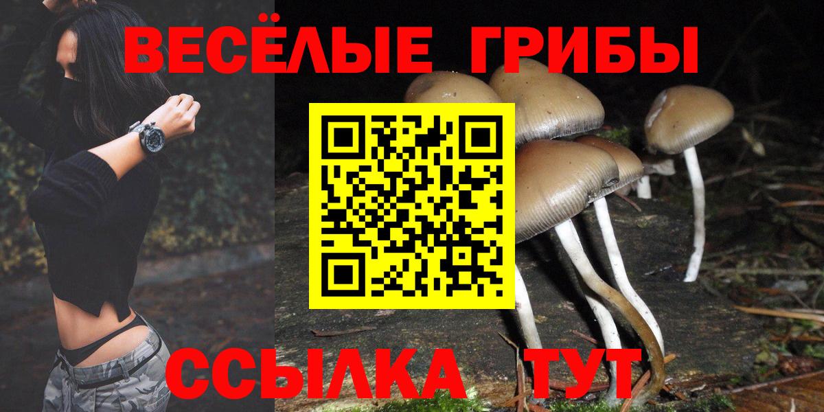 купить наркотики сайты  Псилоцибиновые грибы Psilocybine cubensis  Вход с VPN  Похвистнево 
